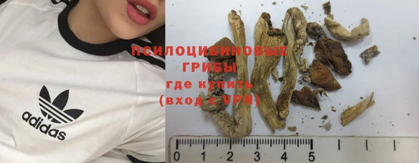 меф Бородино