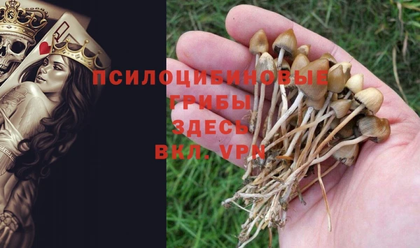 меф Бородино