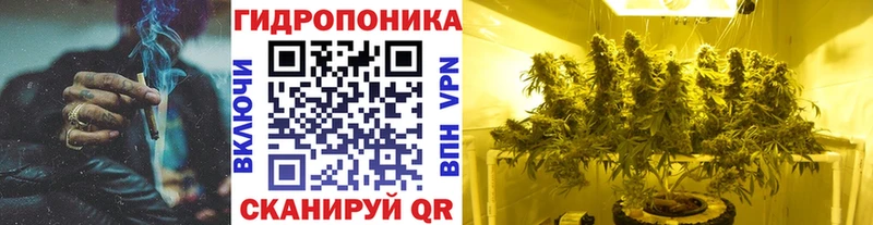 Купить  Николаевск  Конопля сатива 