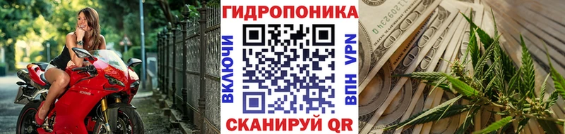 Шишки марихуана планчик Николаевск